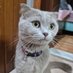 ayaz (@ayaz544751) Twitter profile photo ayaz (@ayaz544751) Twitter profile photo