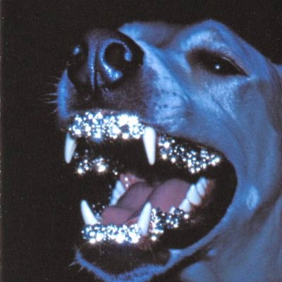 Srryplyer's profile picture. 🇵🇷X100PRE Pronouns: The Goat 🐐 Remembering Events That Haven't Happened Yet.