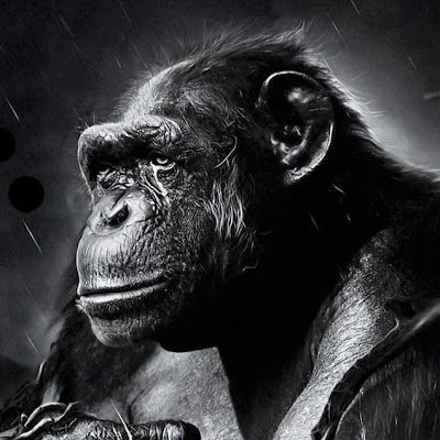 GeniiPetrof's profile picture. 