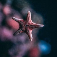Porter Grimes (@portecsrimes) 's Twitter Profile