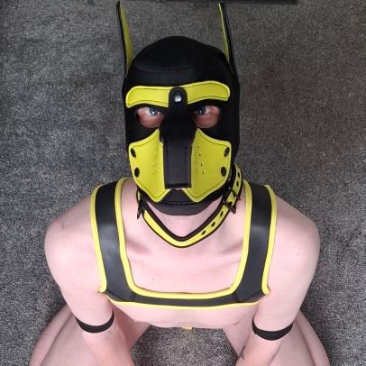 South Yorkshire🇬🇧. Stray beta pup
he/him, gay🏳️🌈male, 40yrs(late to the party I know)