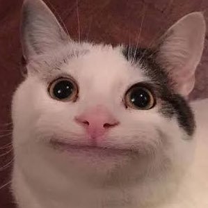 bikkuri_moyasi's profile picture. びっくりもやし