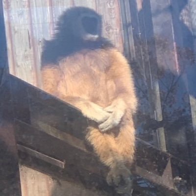 efootball2025やってます。2018からmy Club→2022からドリームチームやってます。 とりあえず弱いなりに頑張ってます。 efootball2025やってる人フォローよろしくお願いします!! 最近コードネームにハマってます!! 鹿島と地元栃木シティを応援してます!!
