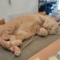 🍏🎣 (@2012eri07358657) 's Twitter Profile