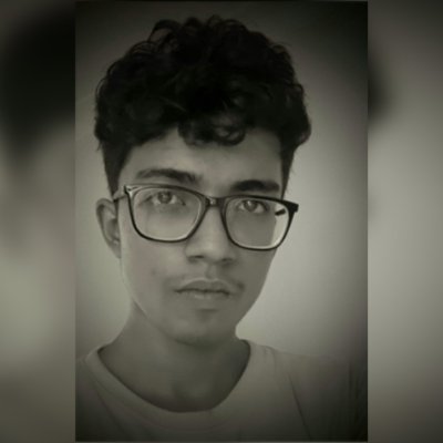 burhanskh_dev's profile picture. flutter developer, learning spring boot and hibernate