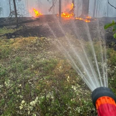 Lostonthebeach1's profile picture. Just checking in on whats happening around the world