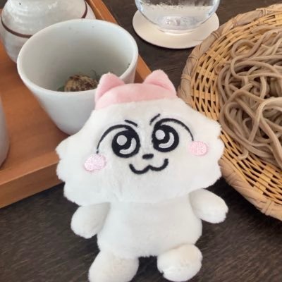shiosoir's profile picture. ンめねこでぬい撮りデビュー🍰 たべものの記録🍜 音楽 映画 旅