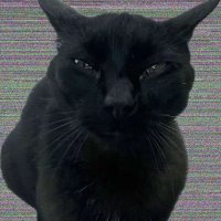 machz (@machzerofm) 's Twitter Profile