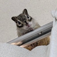 ハオくん日記 (@haokun_cute) 's Twitter Profile Photo