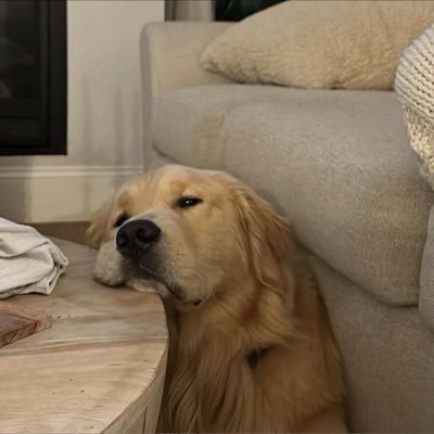 napaslocket's profile picture. meaning of ♡ knp !