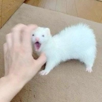 Kurkuma_Arts's profile picture. 