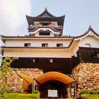 こい (@l3op8hudp39400) 's Twitter Profile