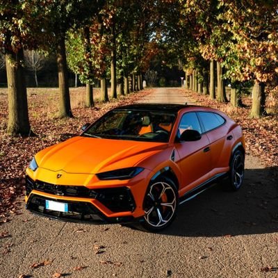 SergiuVoicaa's profile picture. crypto trader enthusiast