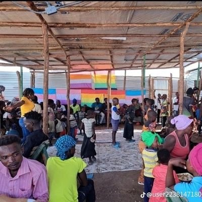 To build capacity, provide technical support and advocate to strengthen Transmen