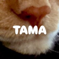 *𝕥𝕒𝕞𝕒@cos📸🔰 (@hanatabalettuce) 's Twitter Profile Photo *𝕥𝕒𝕞𝕒@cos📸🔰 (@hanatabalettuce) 's Twitter Profile Photo