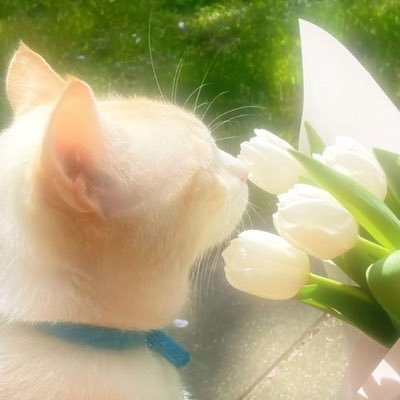 RaRa93425752763's profile picture. 