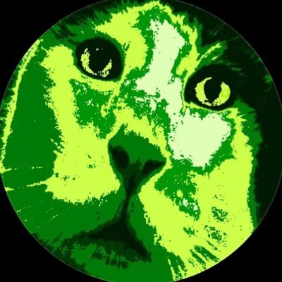 moneyzlo's profile picture. 