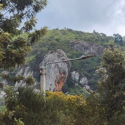 Rhodieyy's profile picture. Accounting & Finance//