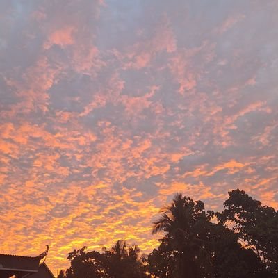 rzahraa103's profile picture. 