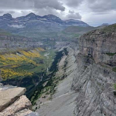 isabel_porcar's profile picture. 