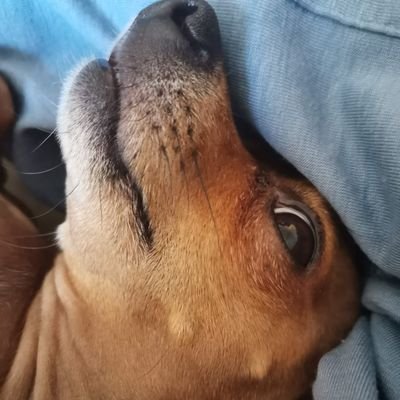 Pilar_Peffaure's profile picture. My own fucking BOSS!!!!