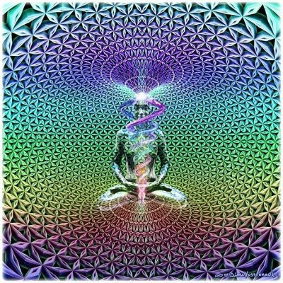 🇬🇧🍄_The spirit molecule_🍄🇬🇧
📈 Escape the system 🌳
$DOGE
