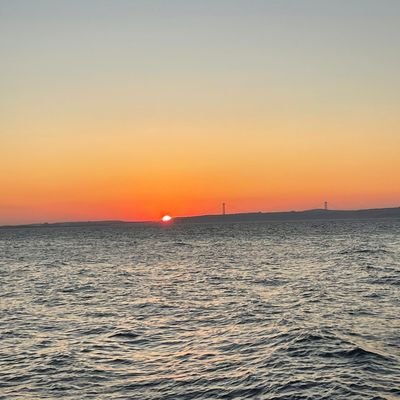 atilgan121314's profile picture. 