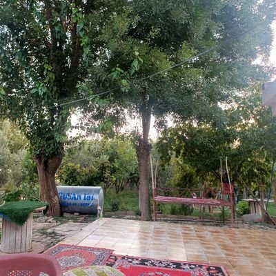 resha6363's profile picture. Fizik öğretmeni