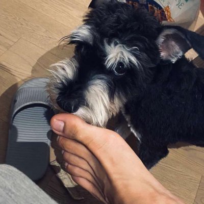 喜欢刷视频，已成年