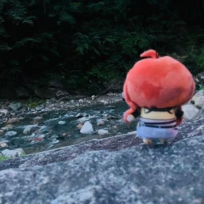 りぶーとさんのプロフィール画像
