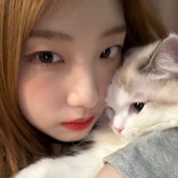 love soseol (@lynnparameninas) 's Twitter Profile