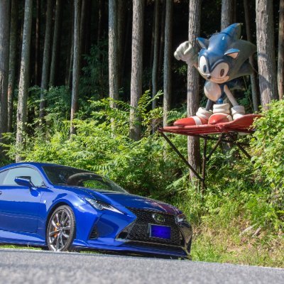dorasutaさんのプロフィール画像