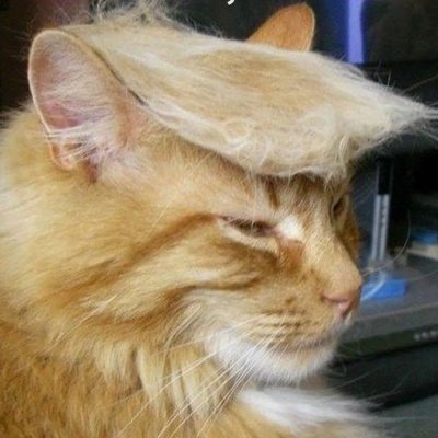 John_SUnruh's profile picture. Member of the Proud, the Few, the Unvaccinated |Joined 2009|Kicked off 3 times for exposing the Left|MAGA|Another day and no arrests of Democrats.