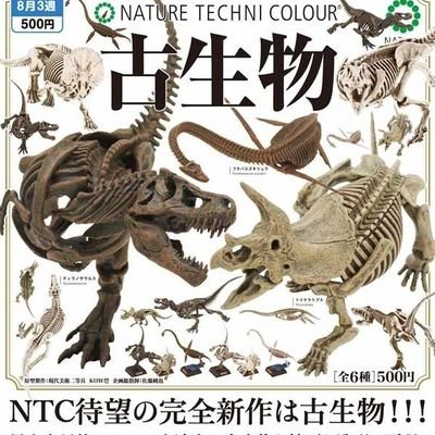 tt5wPWTWXs66475's profile picture. 