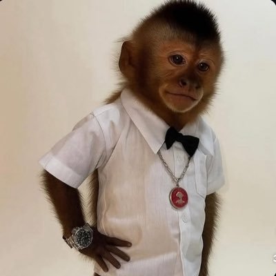redw1d's profile picture. 
