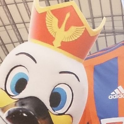 Xはまだまだ初心者です🙇♀️ 新潟県民、アイシテルニイガタ民(ブーイングはしない派!) 気持ちの整理のためポジディブに呟きます。漫画とアニメ大好き。歴史と古寺古仏大好き。/無言フォロー歓迎・失礼します
/2025年現地 2勝6分6敗・1敗・1勝