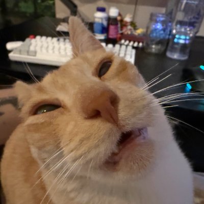 likesbiscuits's profile picture. Poker | Crypto