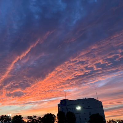 Ysa9Y's profile picture. 