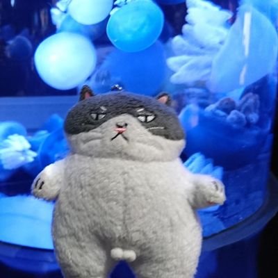 デブ猫マルさんのプロフィール画像
