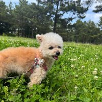 Tossie8 (@tossie8) 's Twitter Profile
