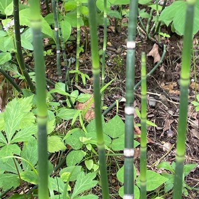 Andrew631995's profile picture. 