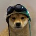 𐩣𐩢𐩣𐩵 (@menocoehoorn) Twitter profile photo 𐩣𐩢𐩣𐩵 (@menocoehoorn) Twitter profile photo