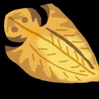 乾物 (@kanbutsuya888) 's Twitter Profile Photo