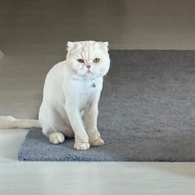 bahcedefelsefe's profile picture. 