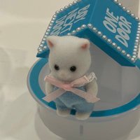 yuki (@__ivelh) 's Twitter Profile