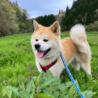 KOMA (@freesty56707768) 's Twitter Profile