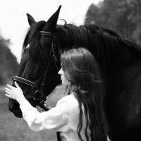 ساره (@mfy1637221) 's Twitter Profile