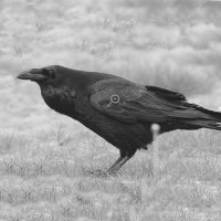 Nevermore (@planfluor) 's Twitter Profile Photo Nevermore (@planfluor) 's Twitter Profile Photo
