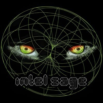 @IntelSage