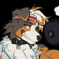 🩶Your New Dog🩶 (@yourgreydog) 's Twitter Profile